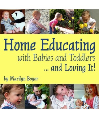 Home Educating with Babies and Toddlers and Loving it!  Audio Download