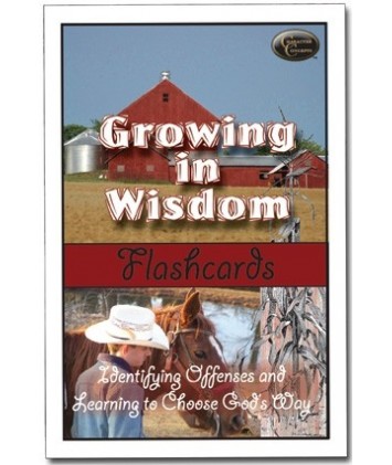 Growing in Wisdom Flashcards