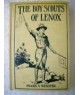 The Boy Scouts of Lenox or the Hike over the Big Mountain (E-Book)